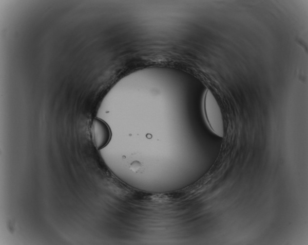 X0000093430612200710120919