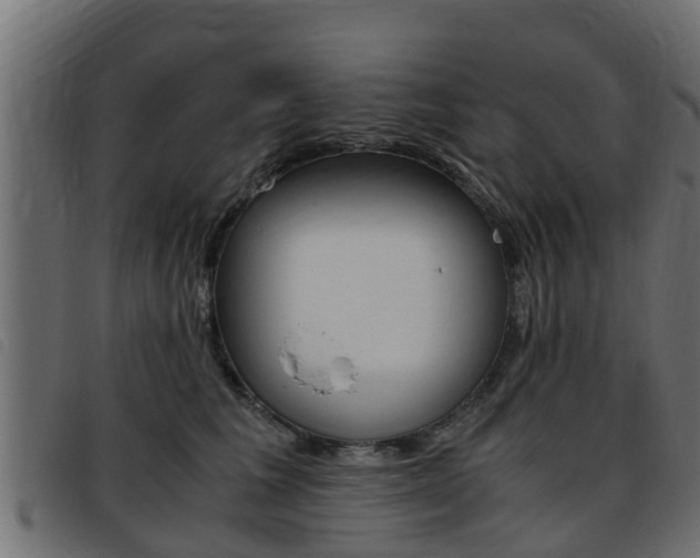 X0000093430613200710120919