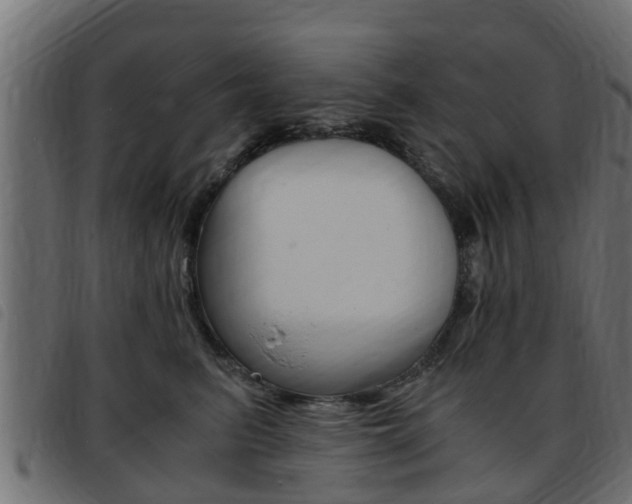 X0000093430615200710120919