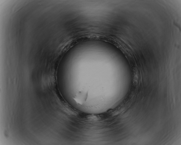 X0000093430616200710120919