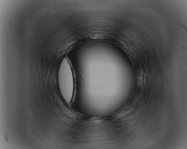 X0000093430620200710120919