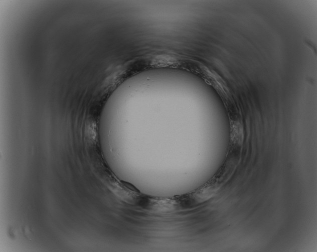 X0000093430621200710120919