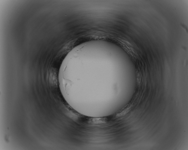 X0000093430622200710120919