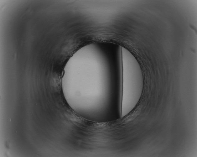 X0000093430624200710120919