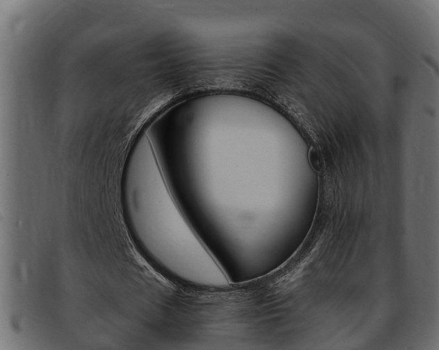 X0000093430625200710120918