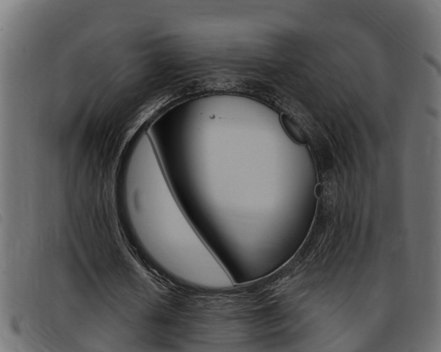 X0000093430626200710120918