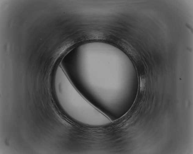X0000093430627200710120918
