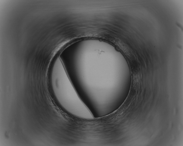 X0000093430628200710120918