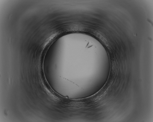 X0000093430629200710120918