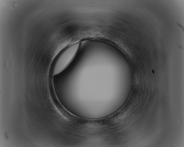 X0000093430630200710120918