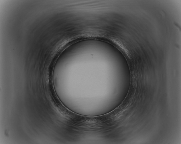 X0000093430631200710120918