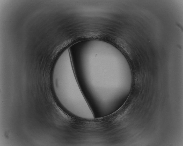 X0000093430633200710120918