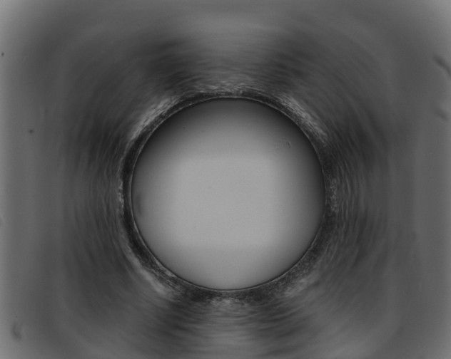 X0000093430634200710120918