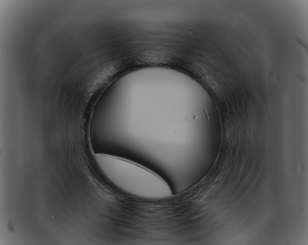 X0000093430635200710120918