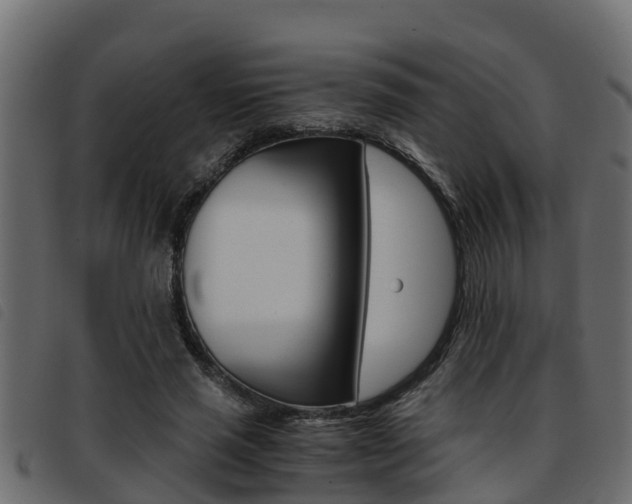 X0000093430637200710120918