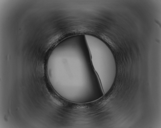 X0000093430638200710120918