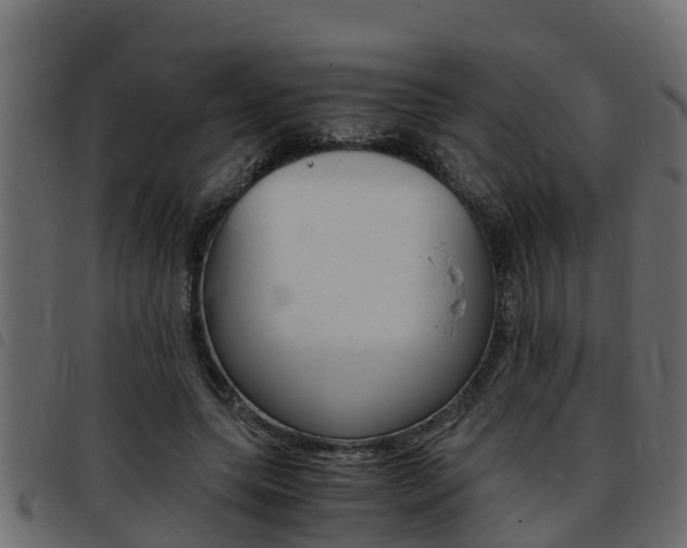X0000093430639200710120918