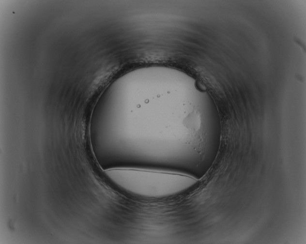 X0000093430640200710120918