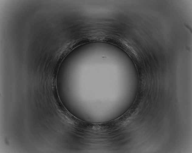 X0000093430641200710120918