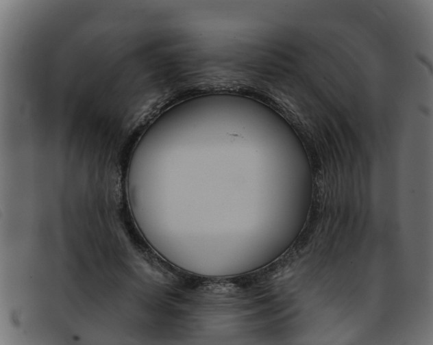 X0000093430642200710120918