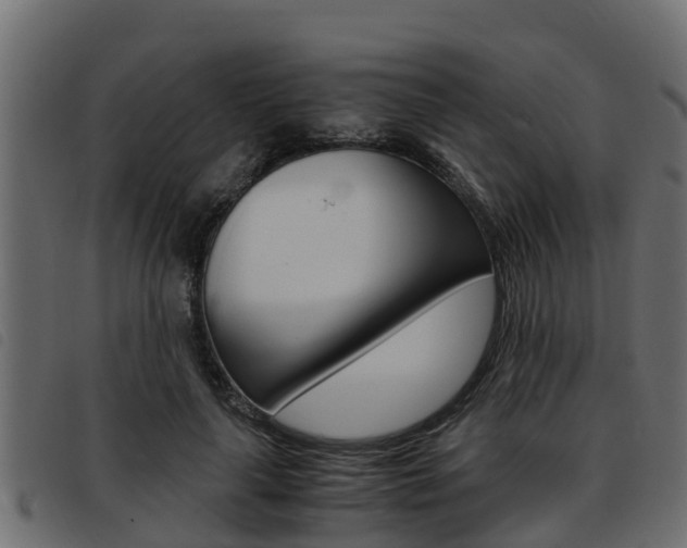 X0000093430643200710120918