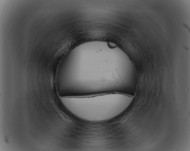 X0000093430644200710120918