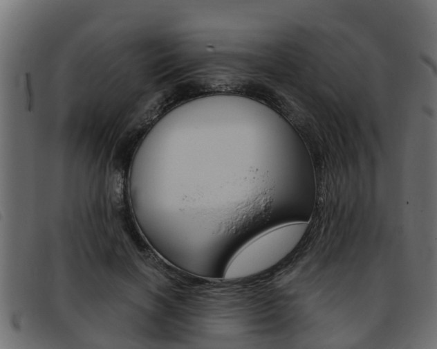 X0000093430646200710120918