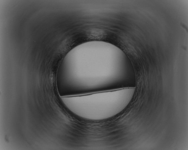 X0000093430647200710120918