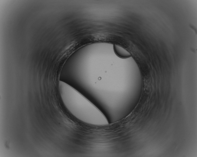 X0000093430648200710120918
