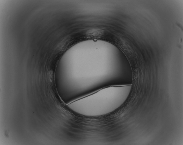 X0000093430649200710120918