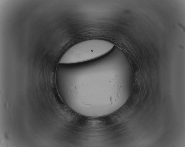 X0000093430650200710120918