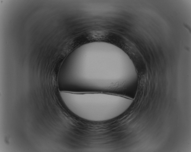 X0000093430651200710120918