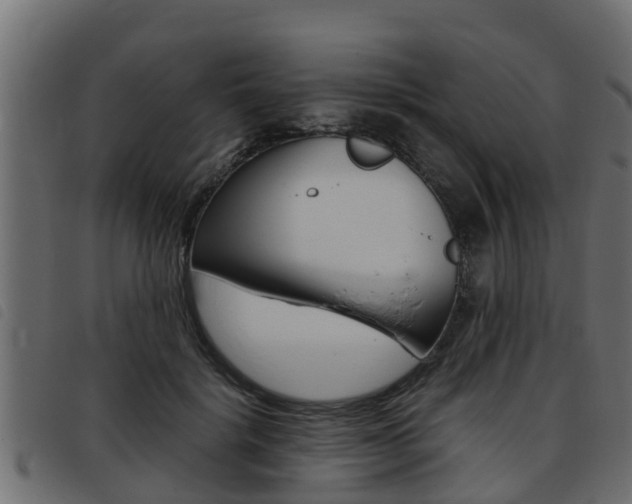 X0000093430652200710120918