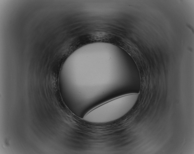 X0000093430653200710120918