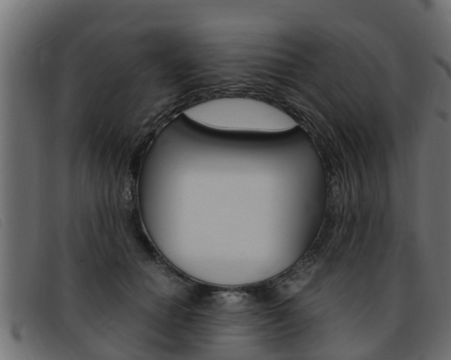 X0000093430654200710120918