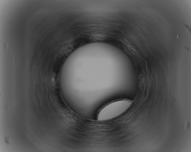 X0000093430655200710120918