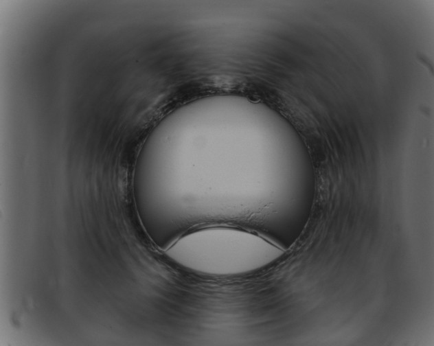 X0000093430656200710120918