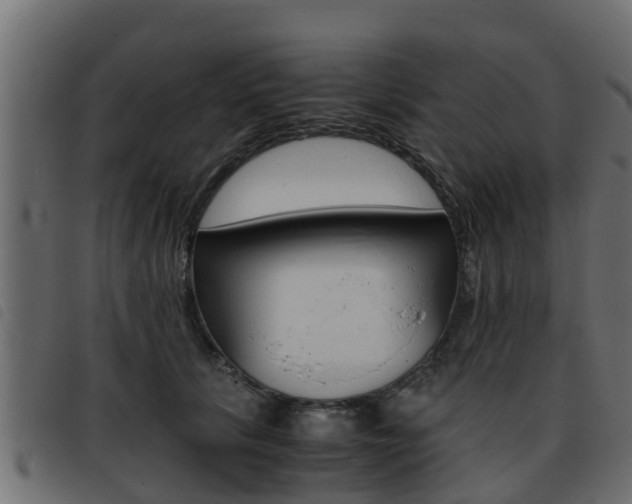 X0000093430657200710120918