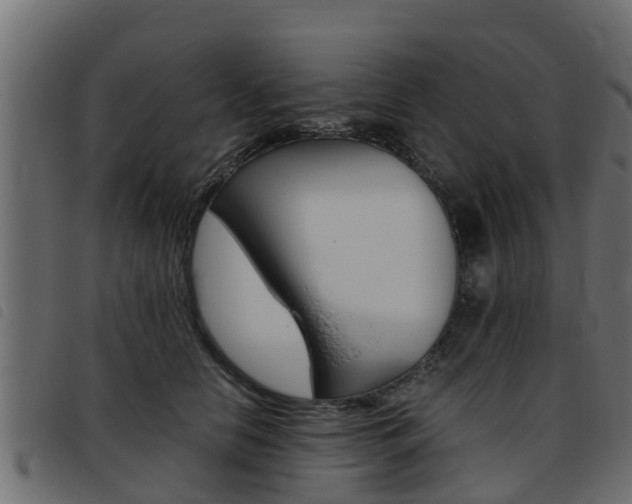 X0000093430658200710120919