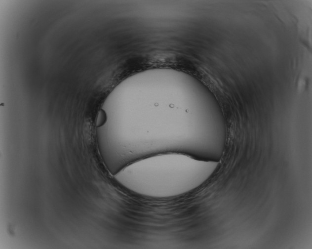 X0000093430659200710120919