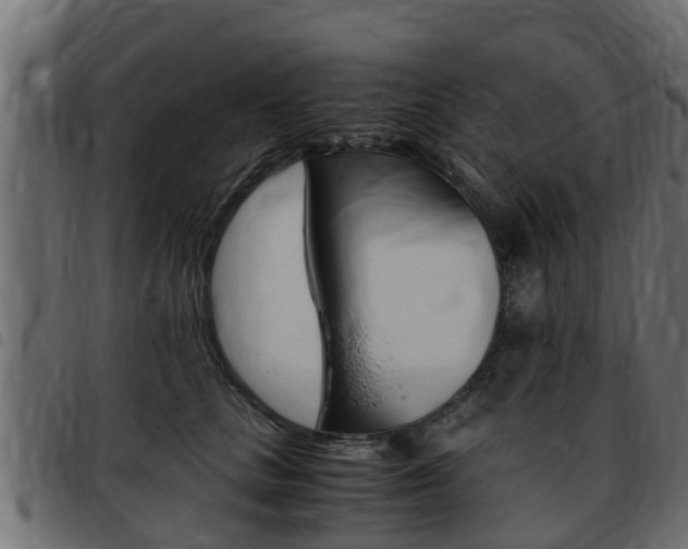 X0000093430661200710120919
