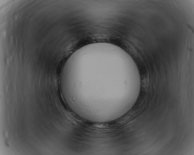 X0000093430662200710120919