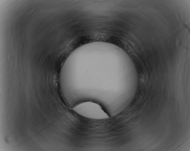 X0000093430663200710120919