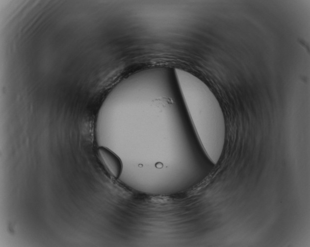 X0000093430666200710120919