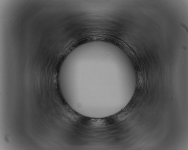 X0000093430667200710120919