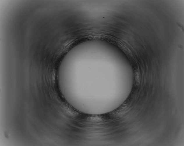 X0000093430668200710120919