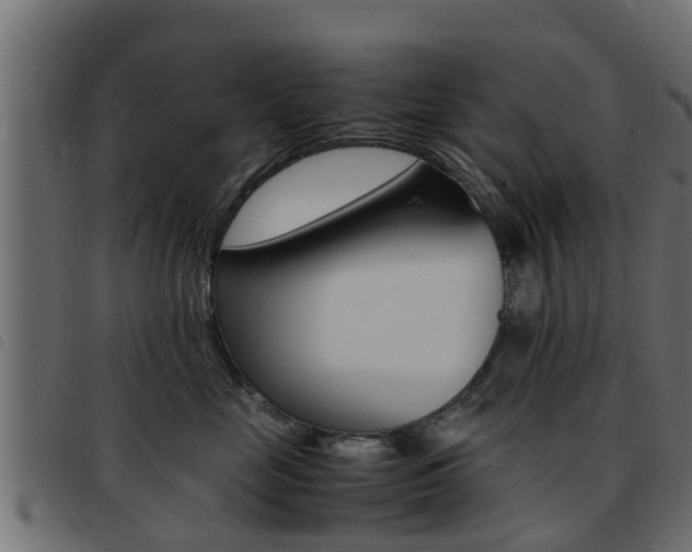 X0000093430669200710120919