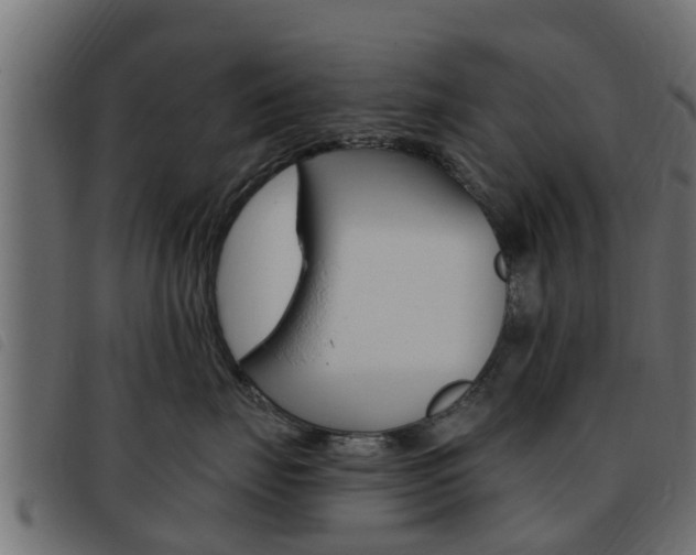 X0000093430671200710120919