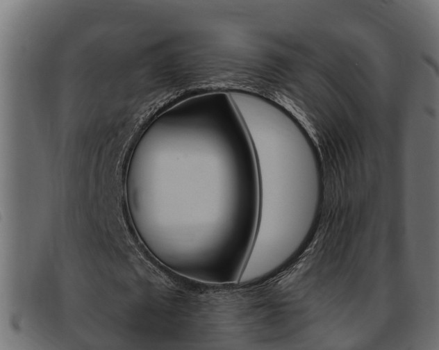 X0000093430673200710120918