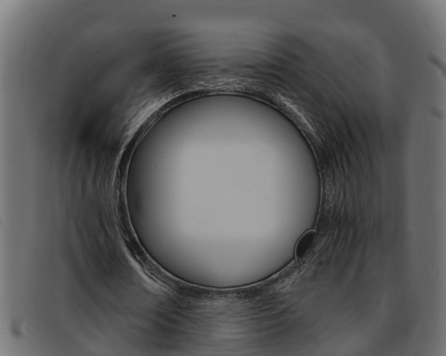 X0000093430674200710120918